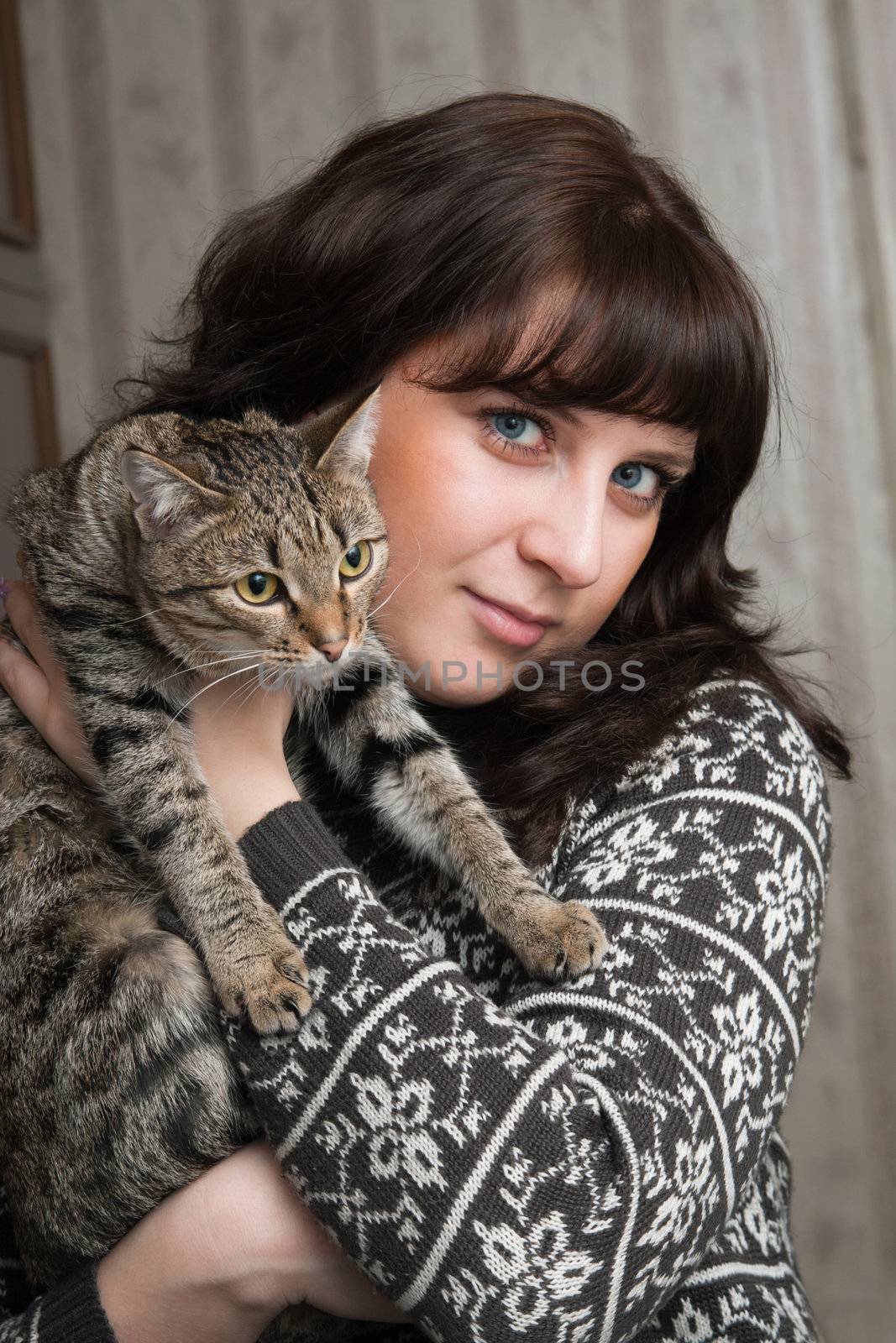 The girl holds on hands of a grey cat