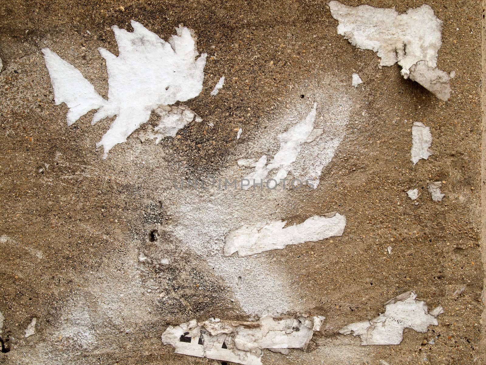 Tear of the joint white paper On the cement wall