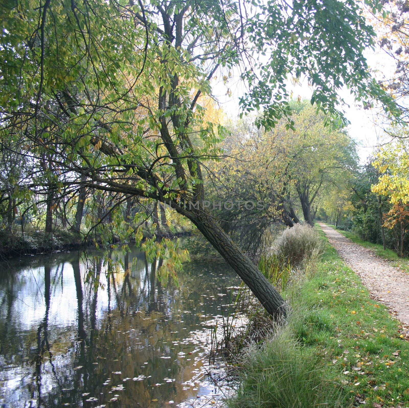 Footh path alongside the canal de Castilla, Palencia, Spain