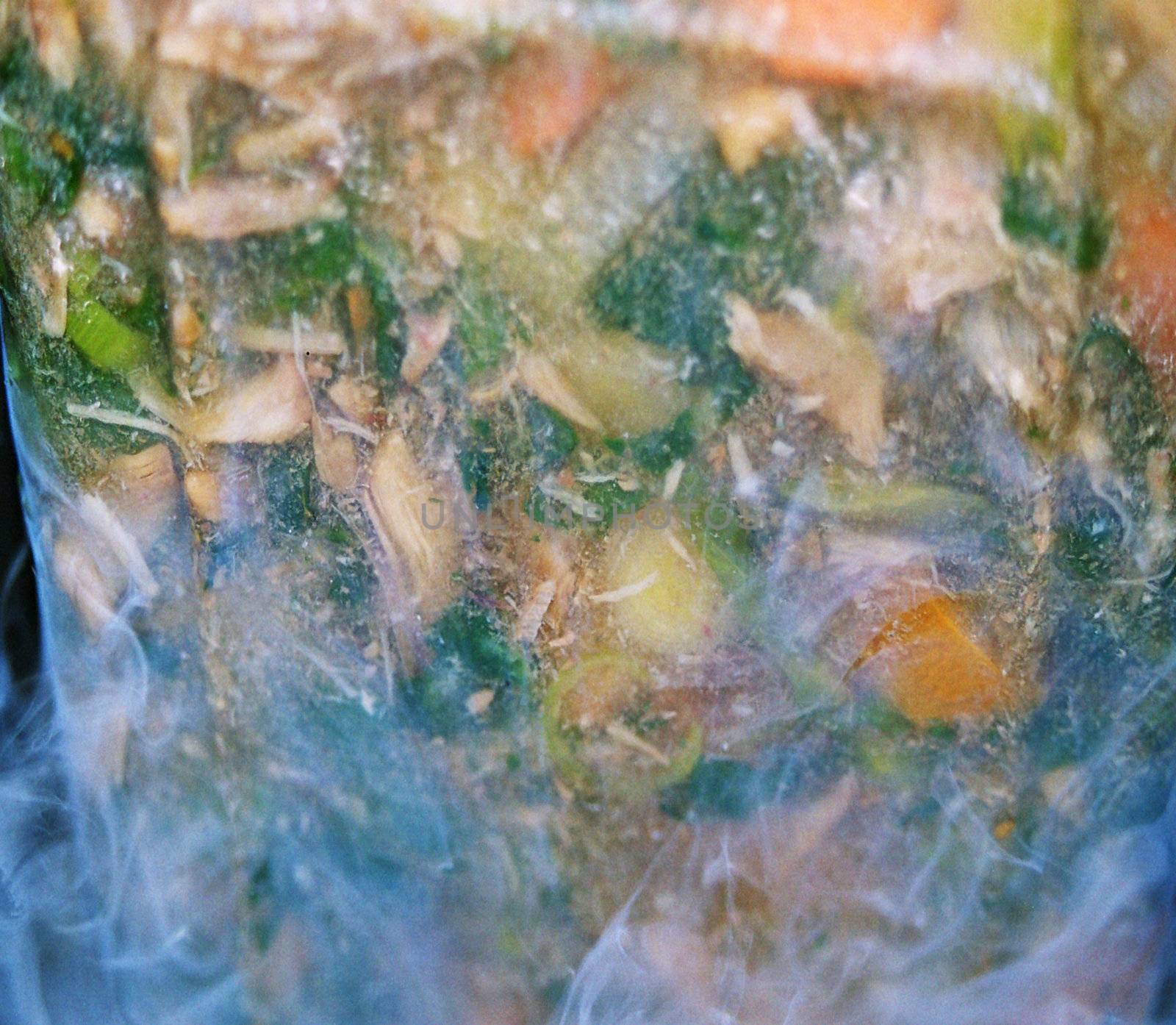 frozen food thawing/cooking