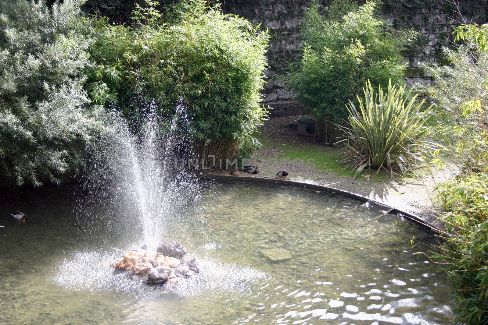 Fountain and bassin in park