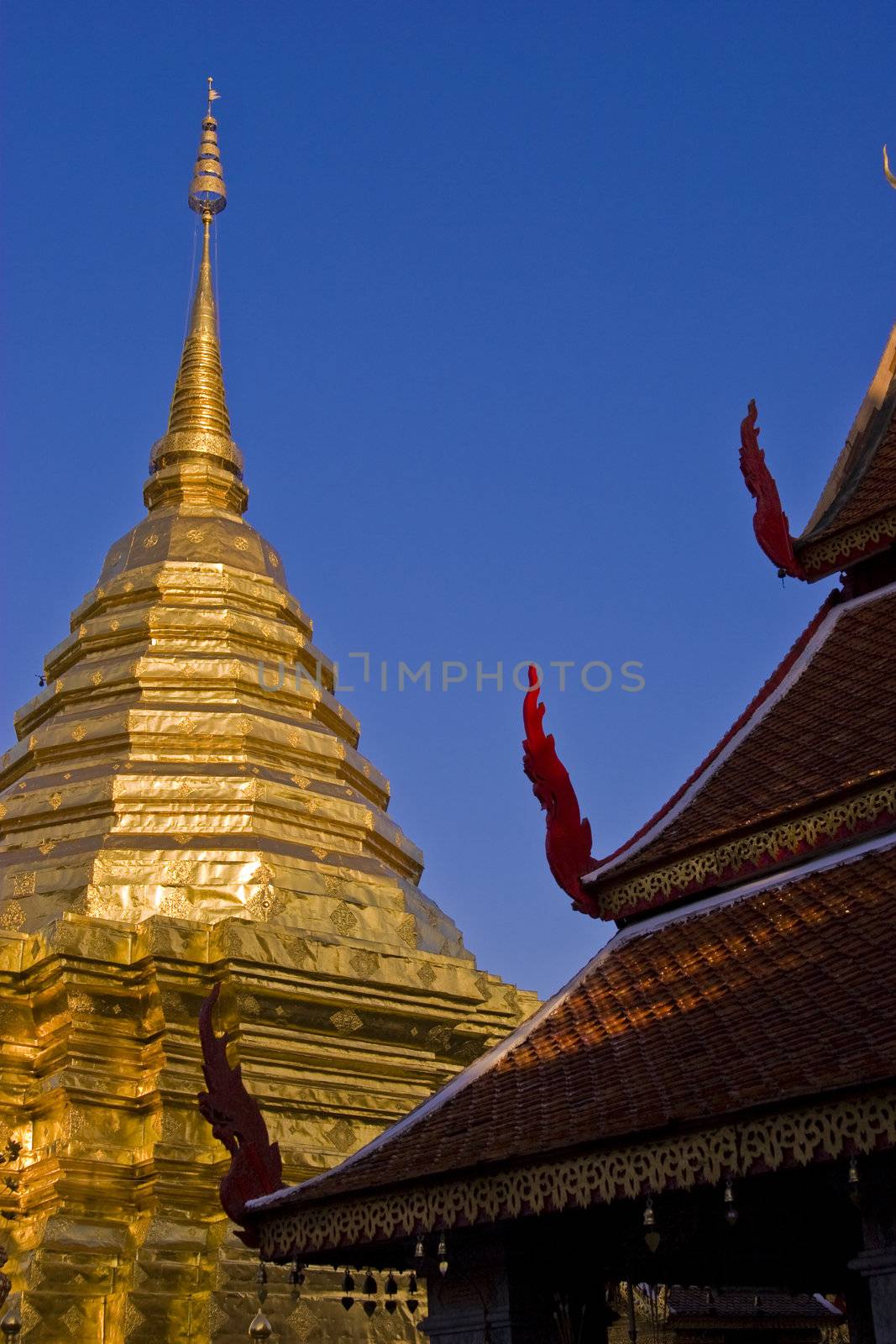 Roofs and goldel building in Wat po temple, thailand