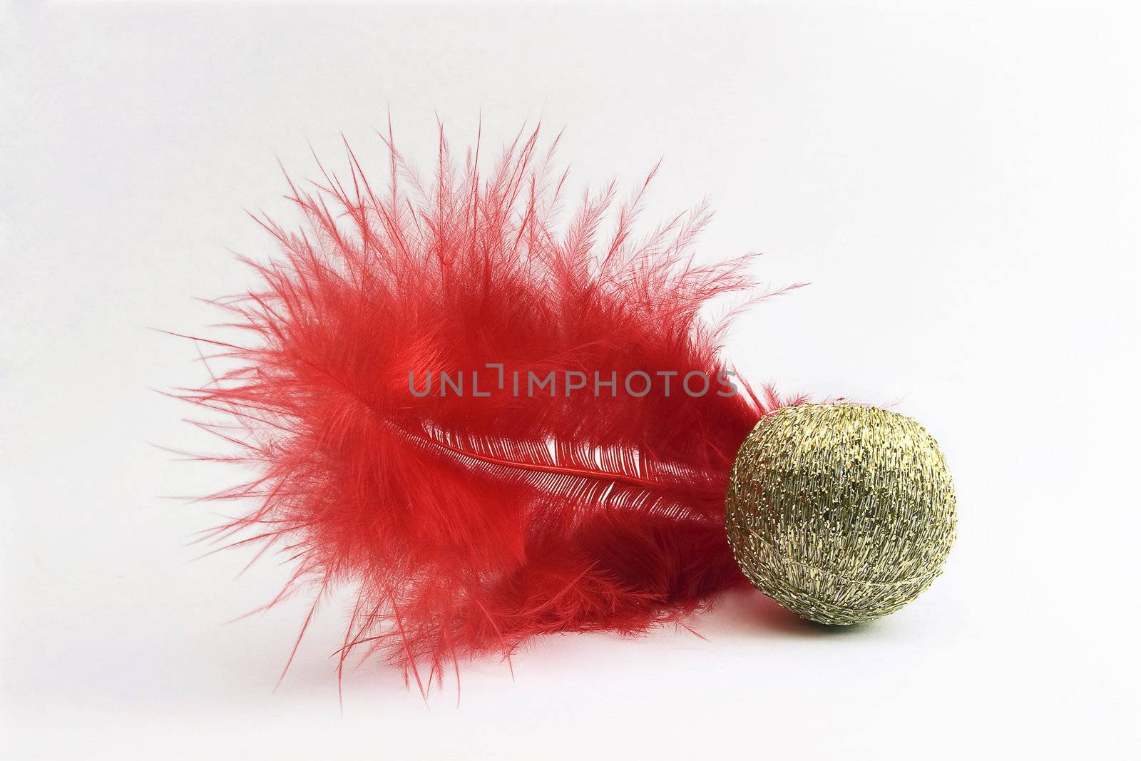 Cristmas decorations (red feather and gold ball) on a white background