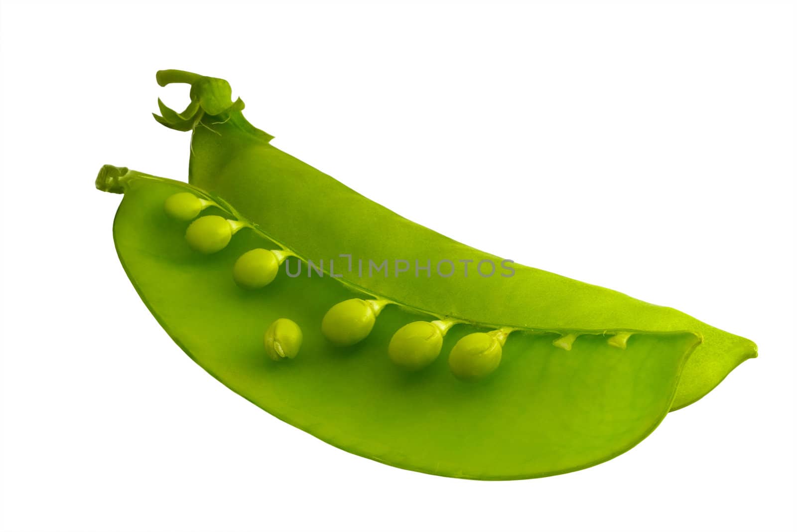Closed and open pods of peas on a white background