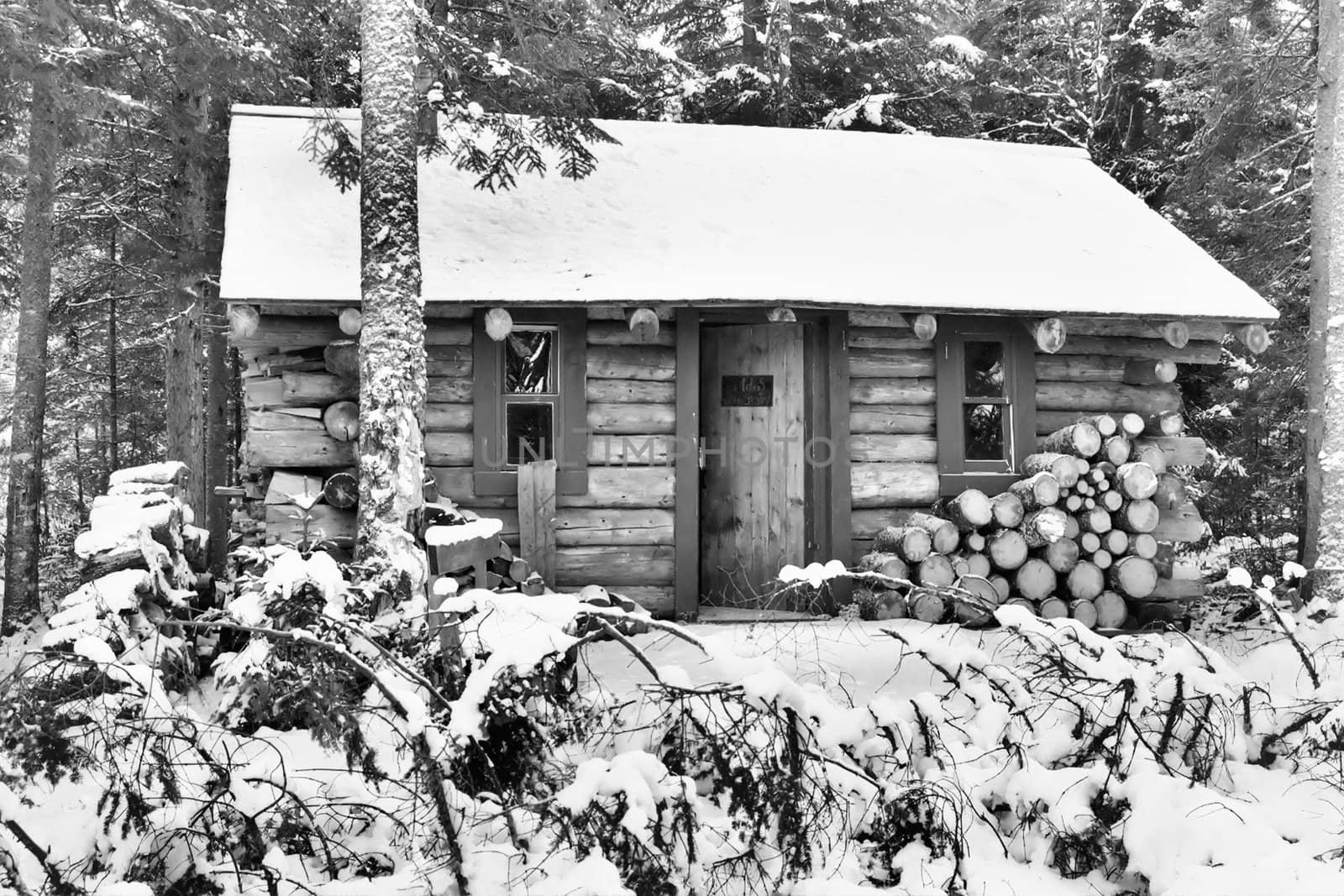  cabin in the woods during the winter,picture shown in black and white