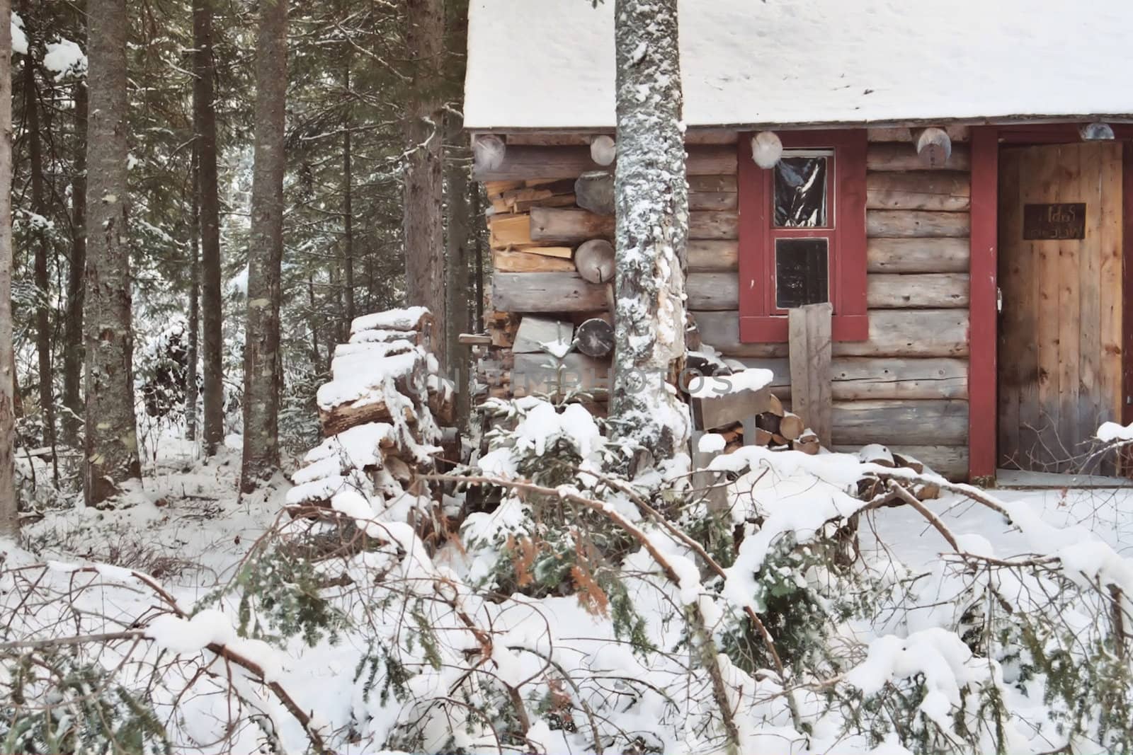 Corner of the cabin by northwoodsphoto