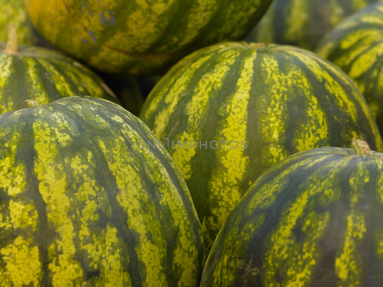 Background photo of fresh green water melons