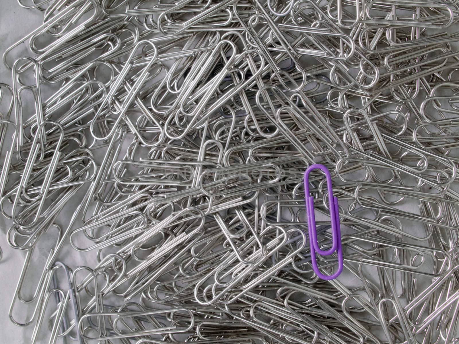 Violet and chrome paper clip on white paper background