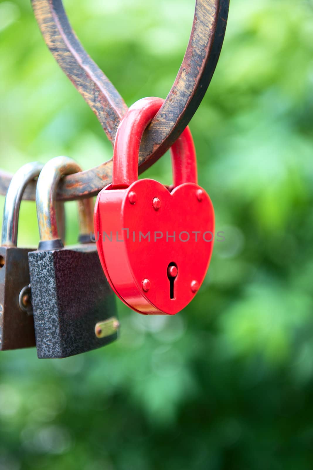love forever - padlocks on the bridge