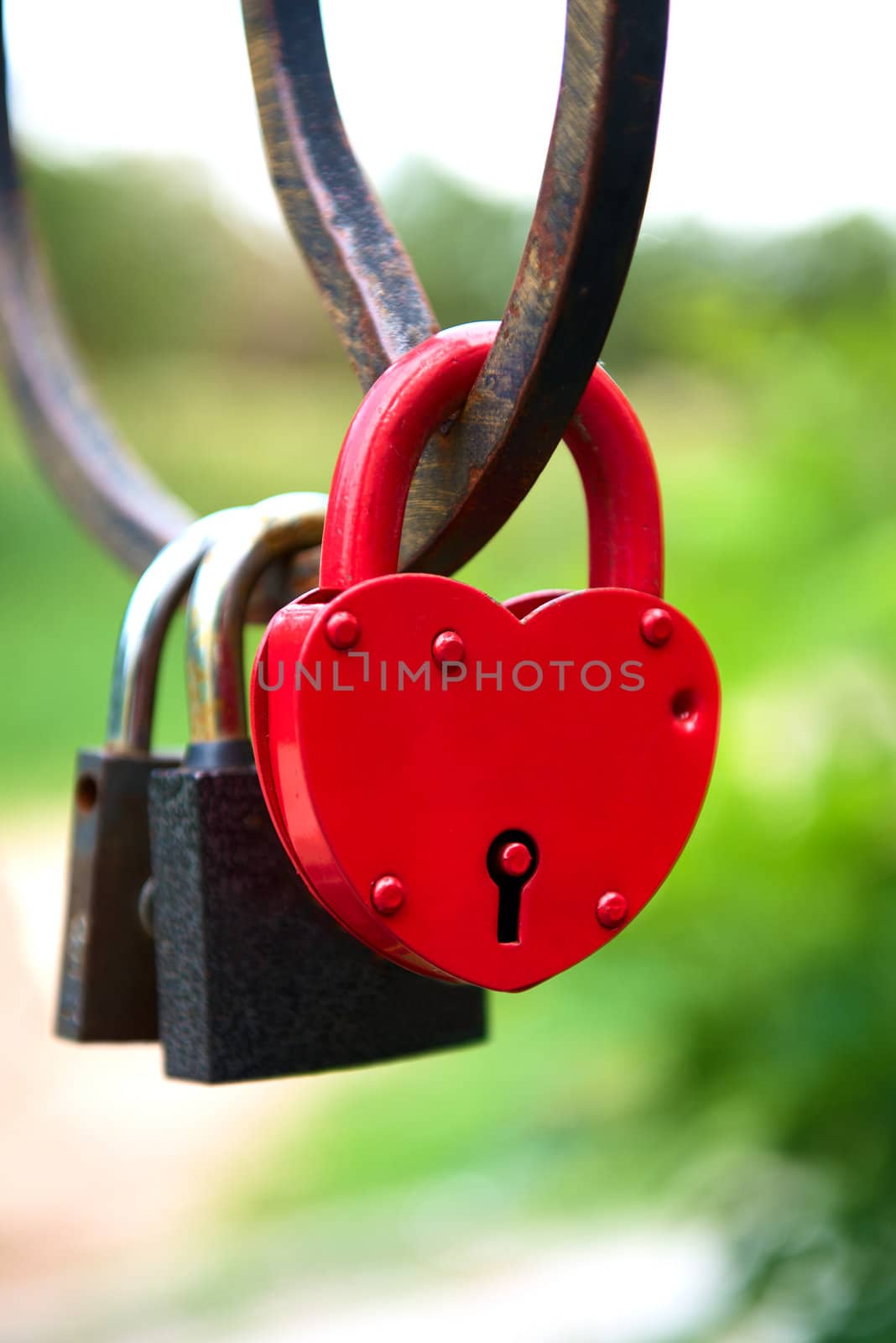 love forever - padlocks on the bridge
