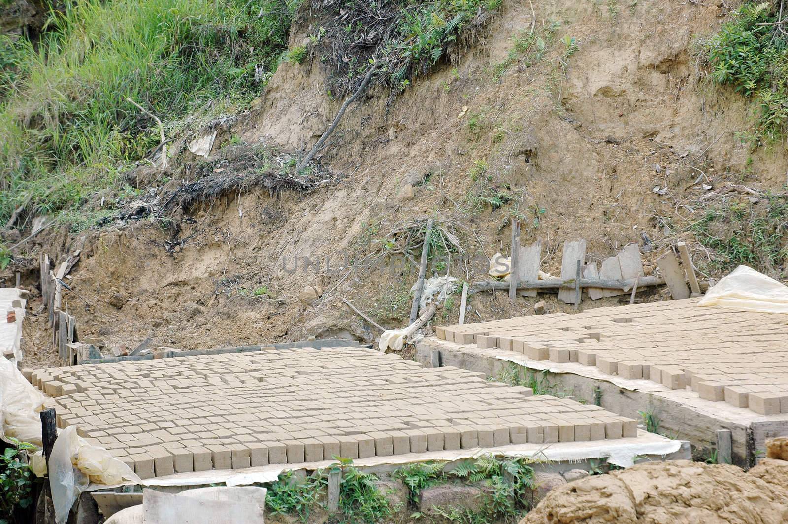 drying clay molds in the manufacturing process of bricks