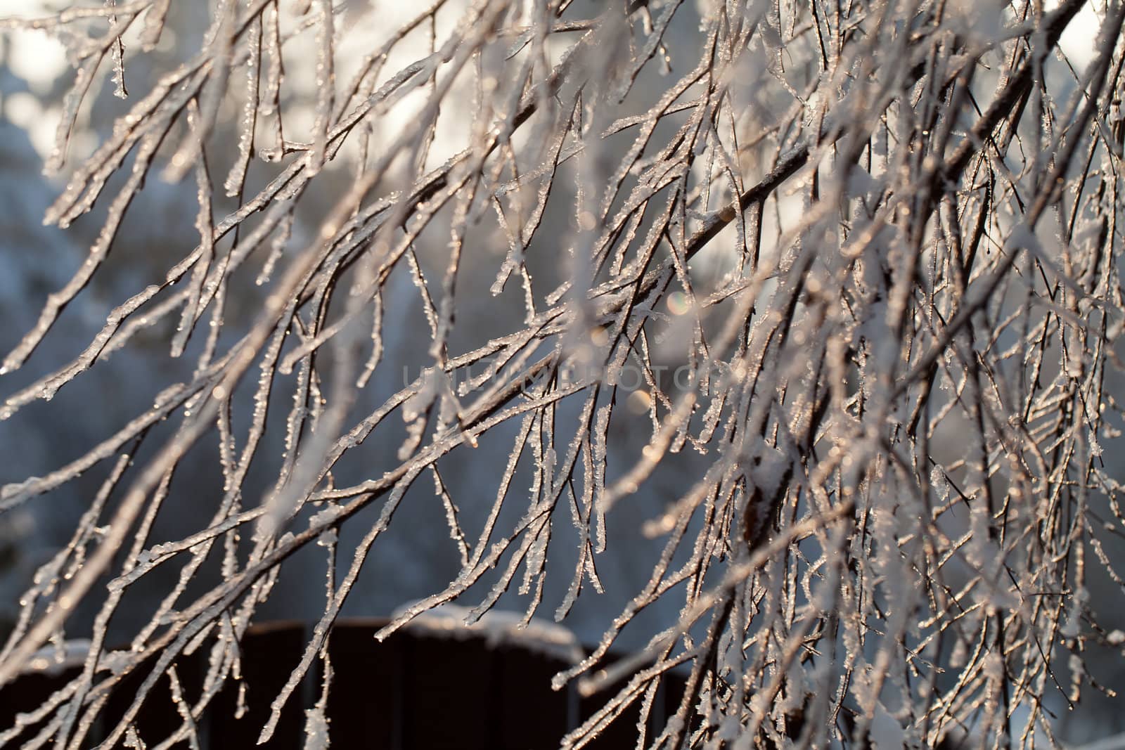 the winter-impression into the frosty afternoon
