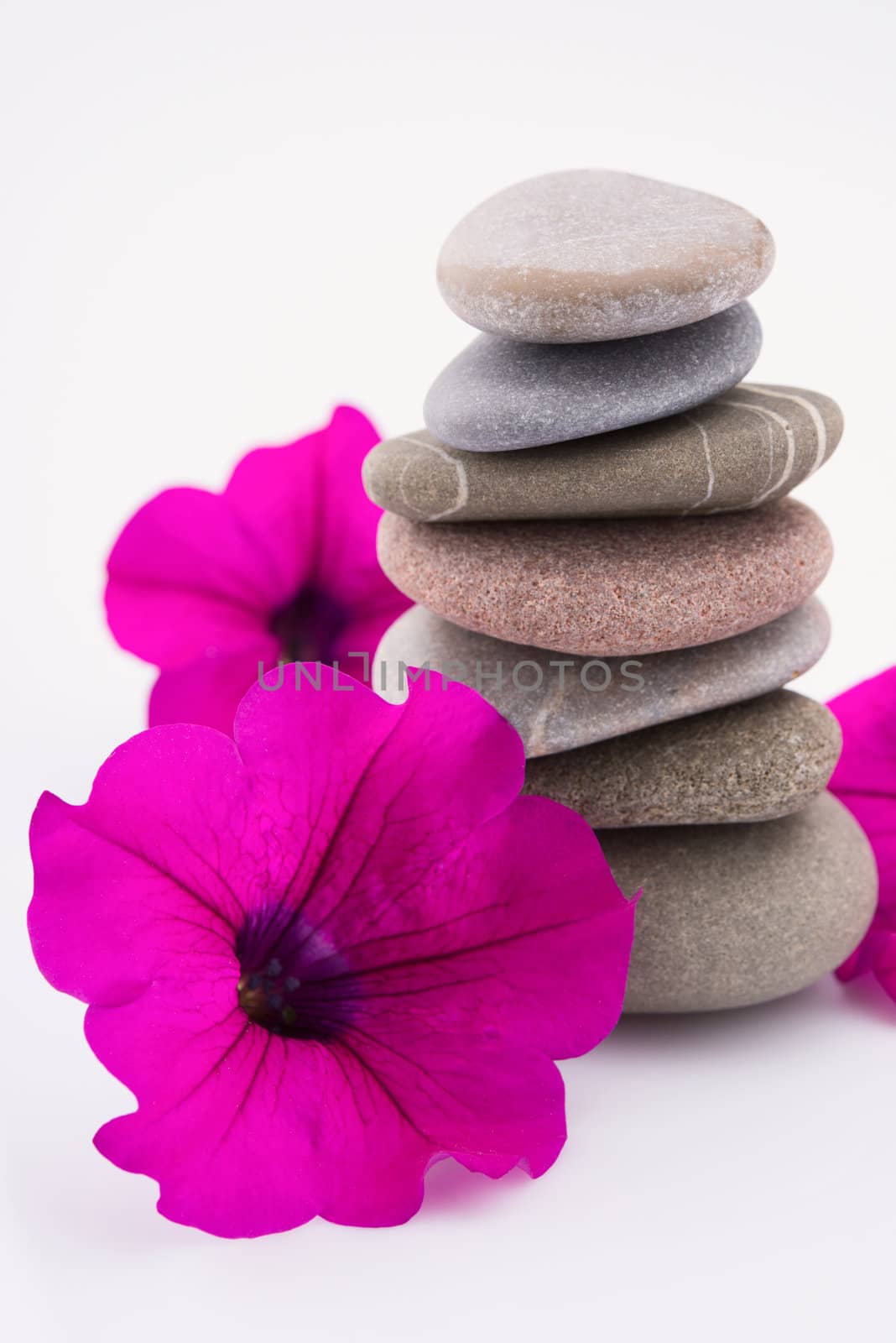 Pile of pebble Stones isolated on white
