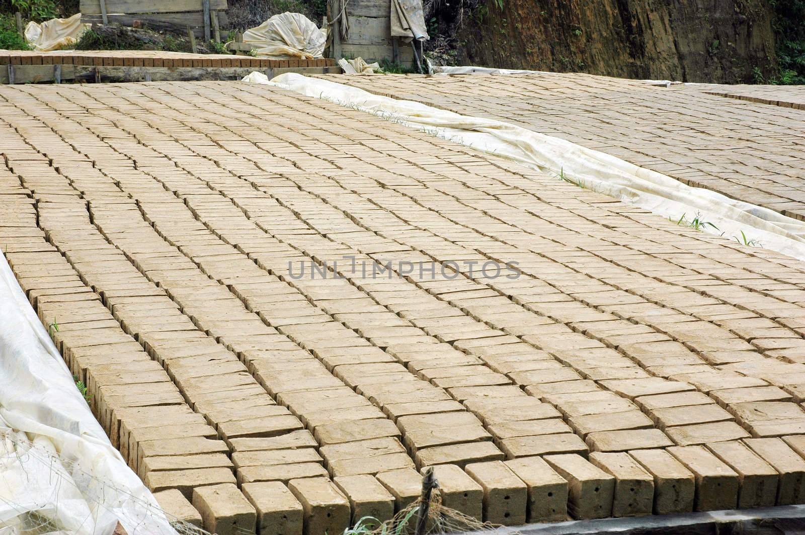 drying clay molds in the manufacturing process of bricks