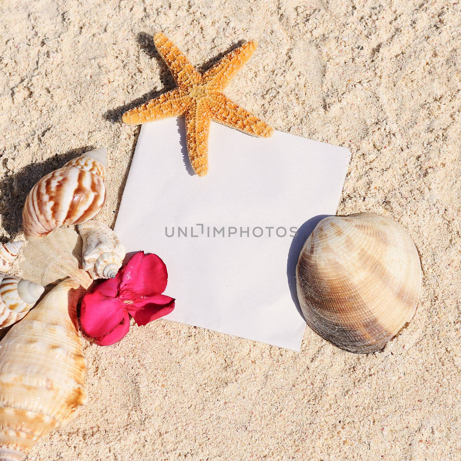 Blank paper beach sand starfish shells summer by ventdusud