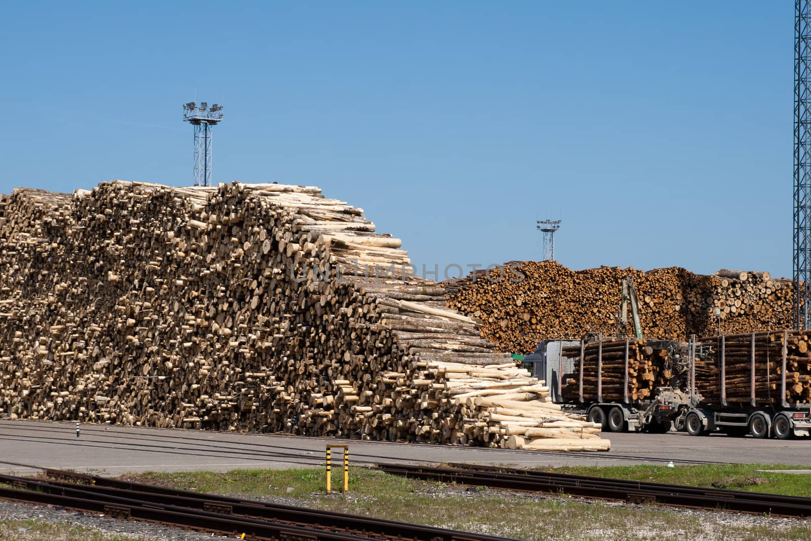a pile of logs at the port ready for loading to ships