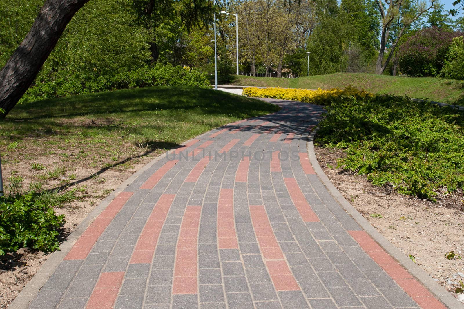 paved sidewalk in the city park