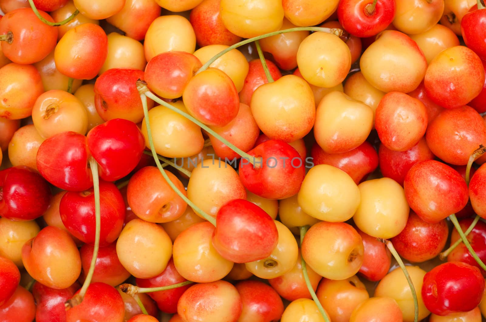red and yellow cherry as background