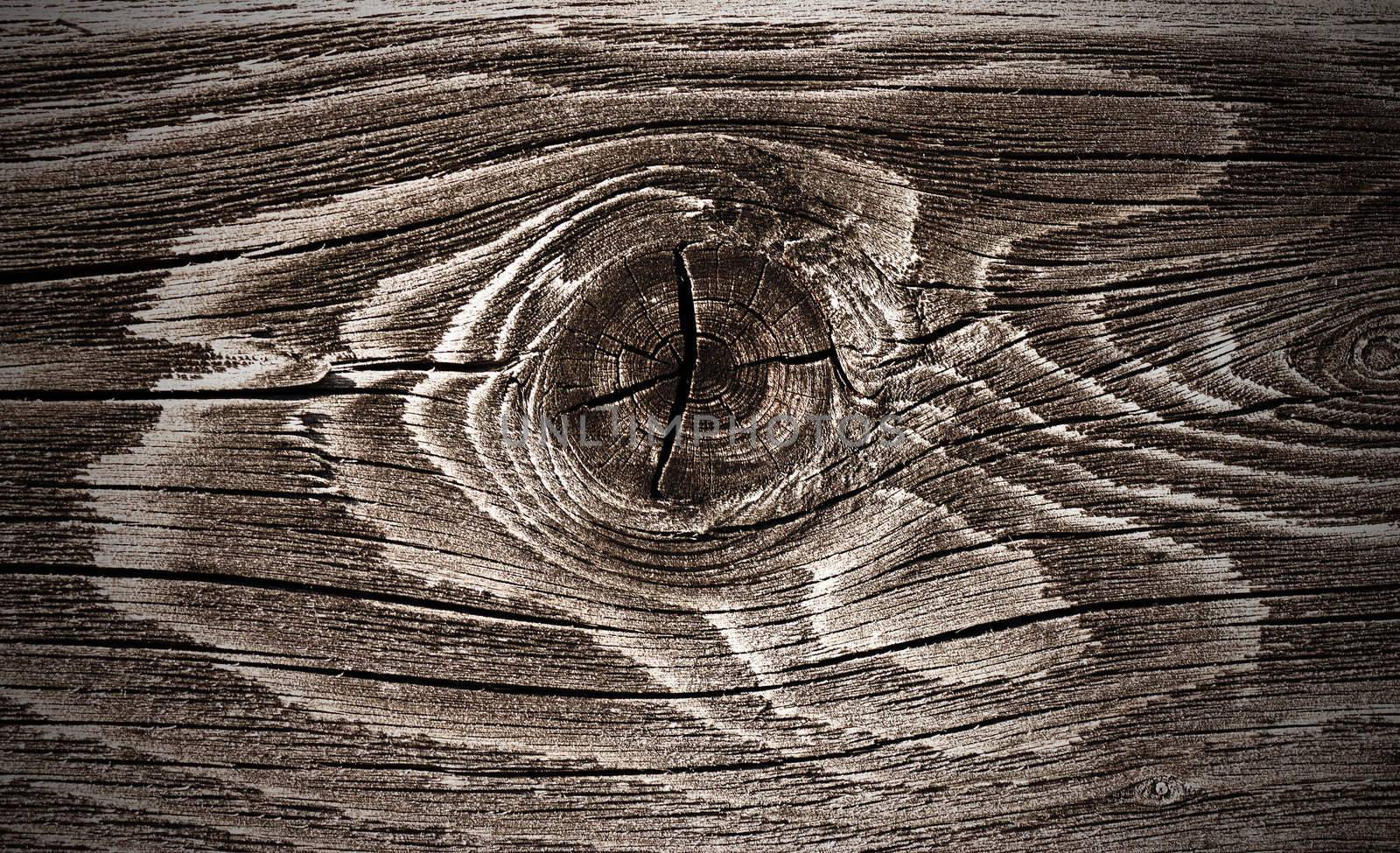 Macro view of wood knot stylized
