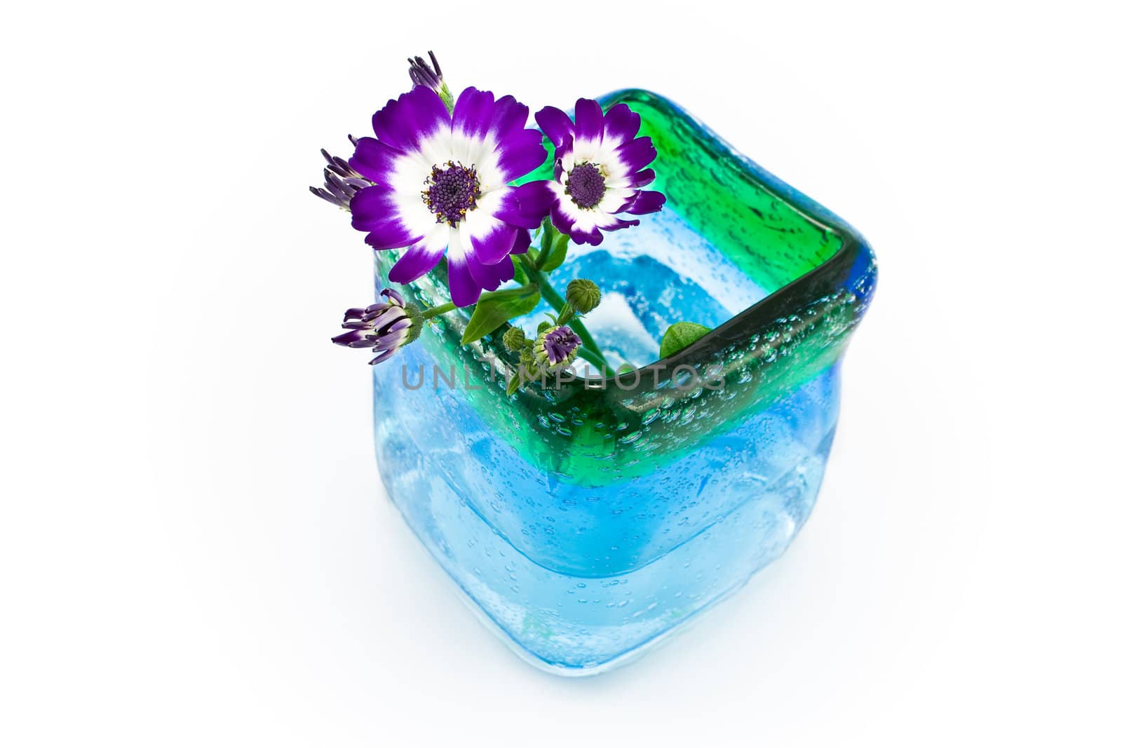 Flowers in blue glass vase isolated on white