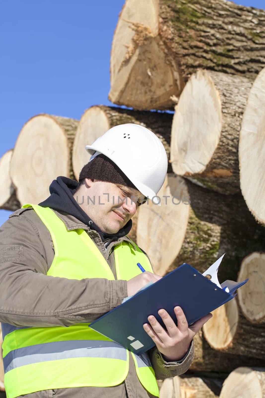 Forester writing near  at the log pile