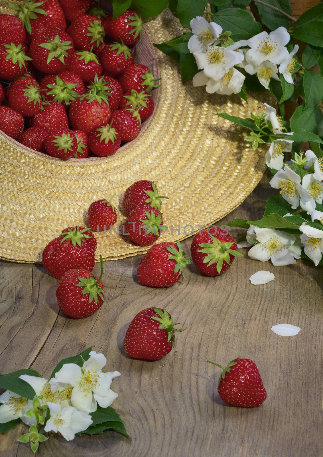 Still life with strawberries and jasmine