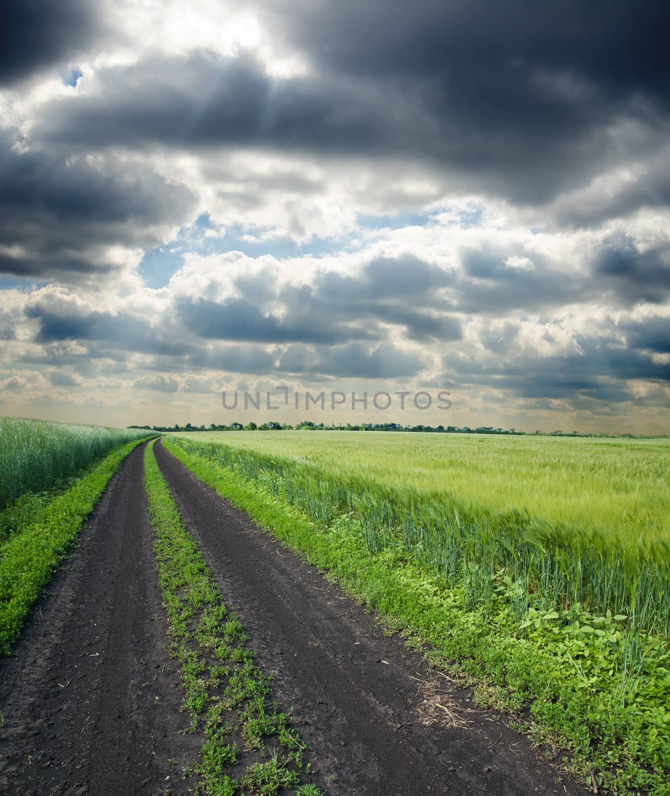 dirty road to cloudy horizon
