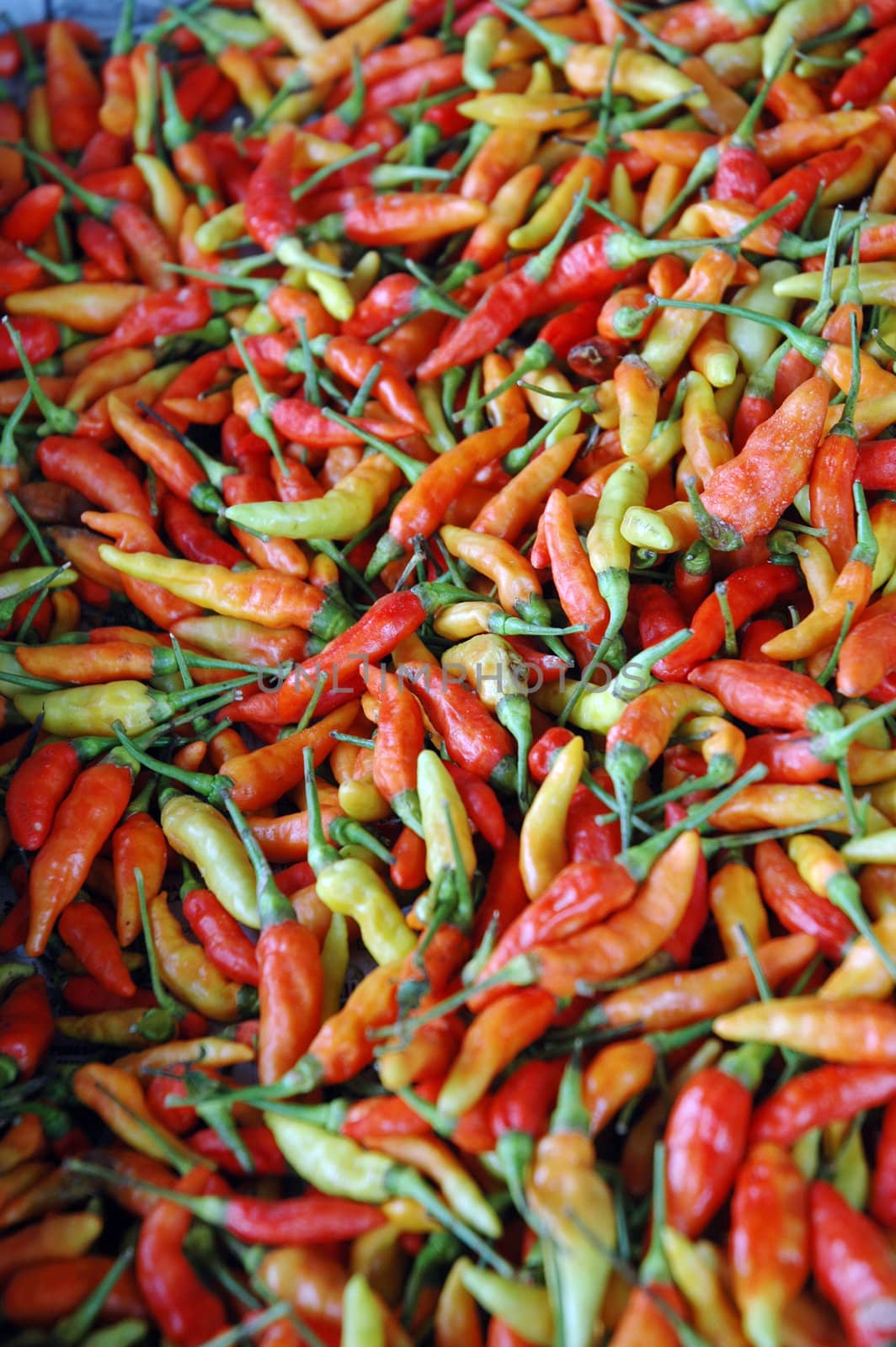 chilli background