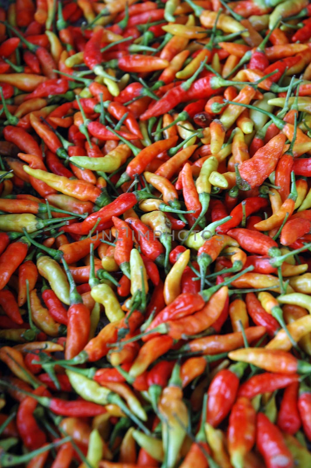 chilli background