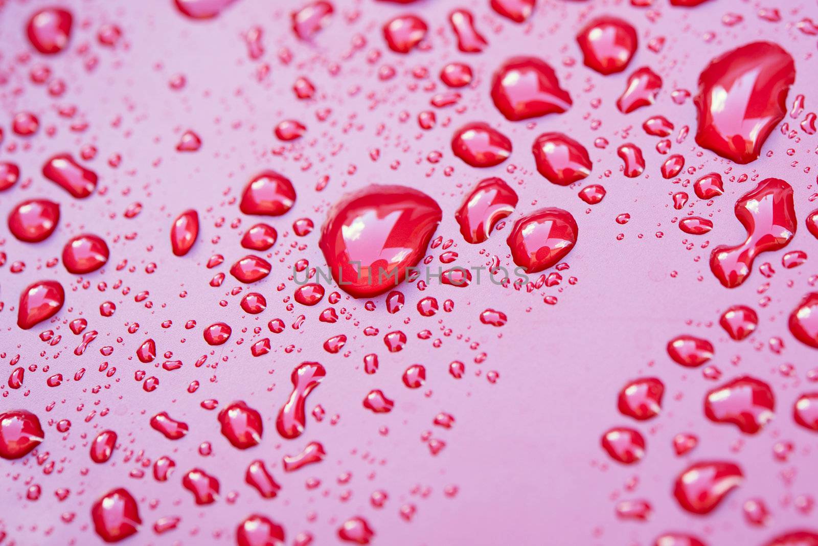 Crystal clear water drops over red background