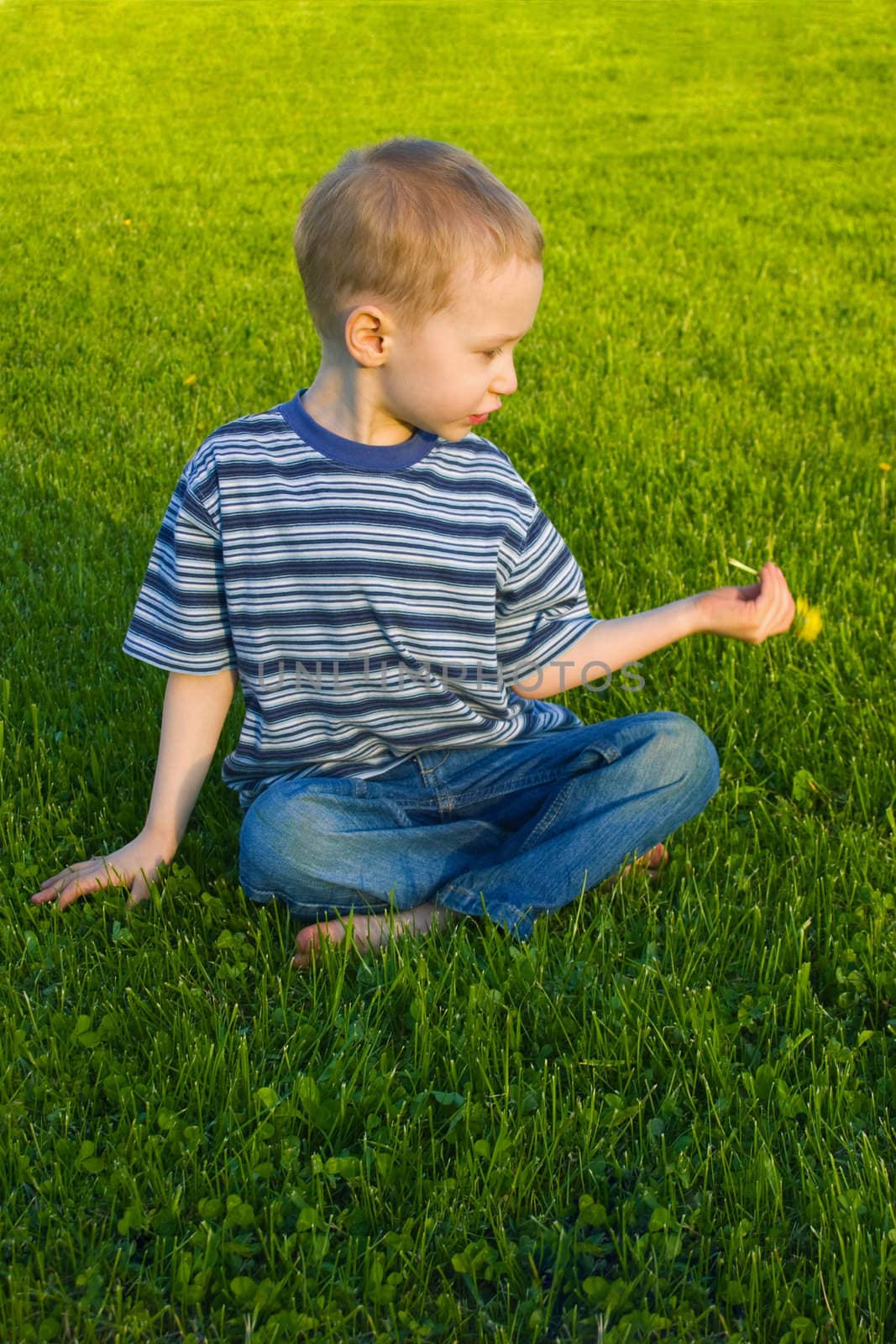 Boy sits on grass by vidrik