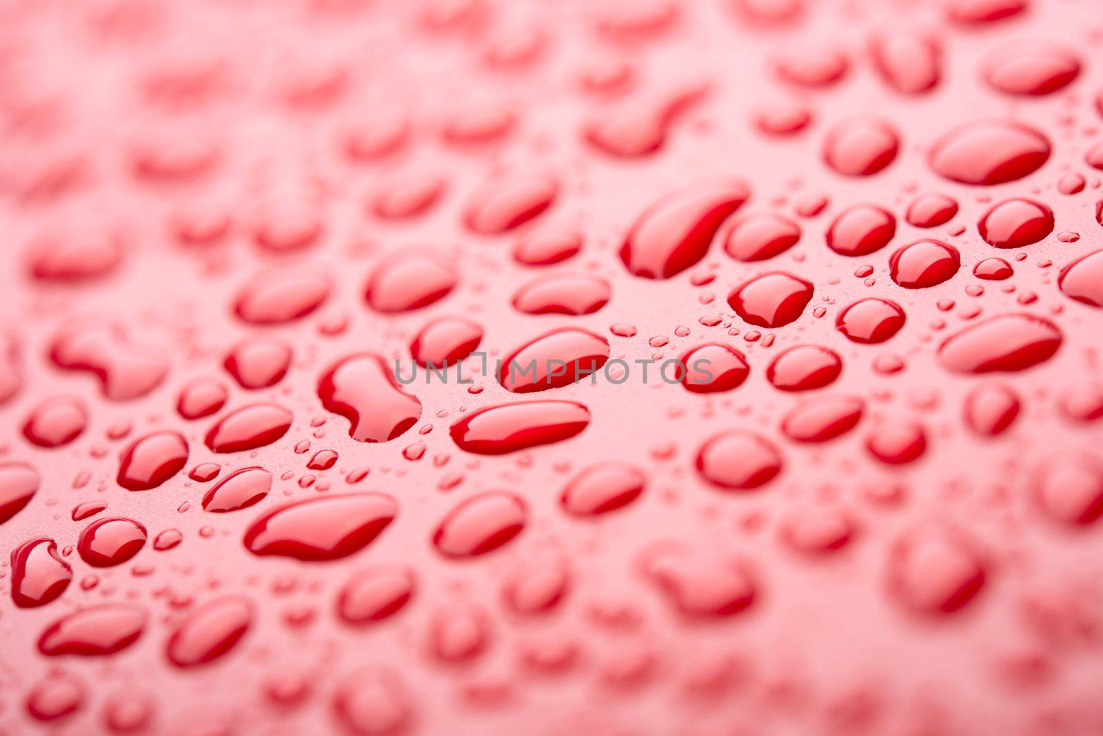 Crystal clear water drops over red background