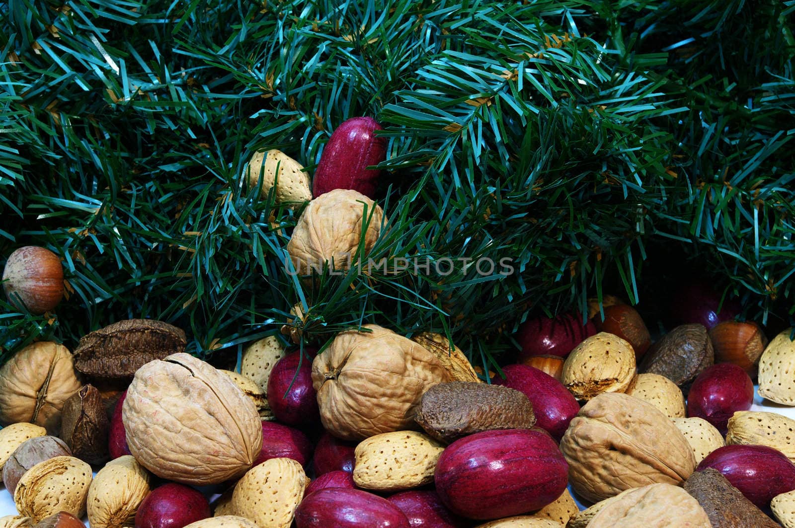 Christmas Mixed Nuts by edcorey