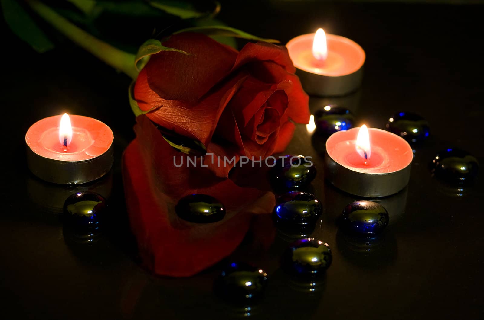 Red rose and candles in the night