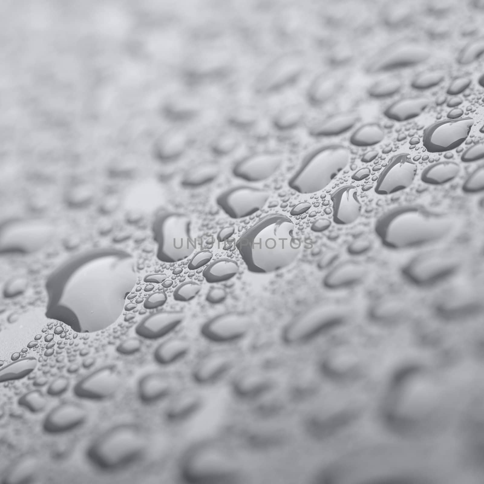 Crystal clear water drops in B&W