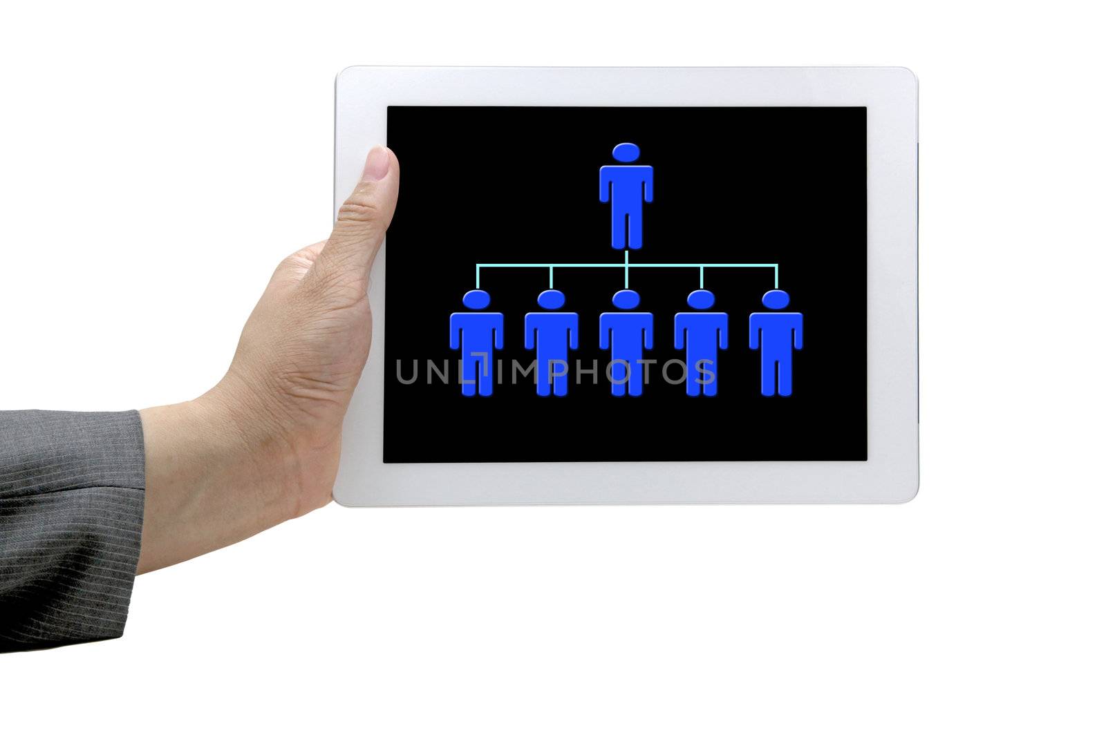 hand hold online organiztion chart on touch screen for business workforce concept