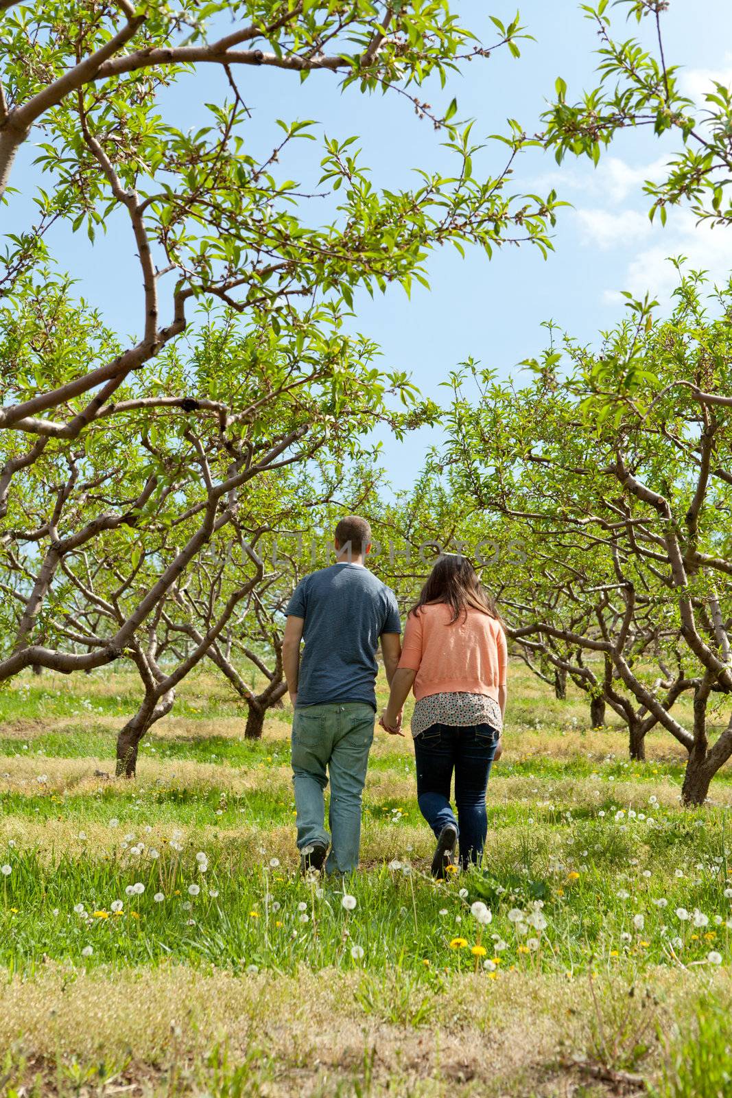 Young happy couple enjoying each others company outdoors through a country apple orchard.