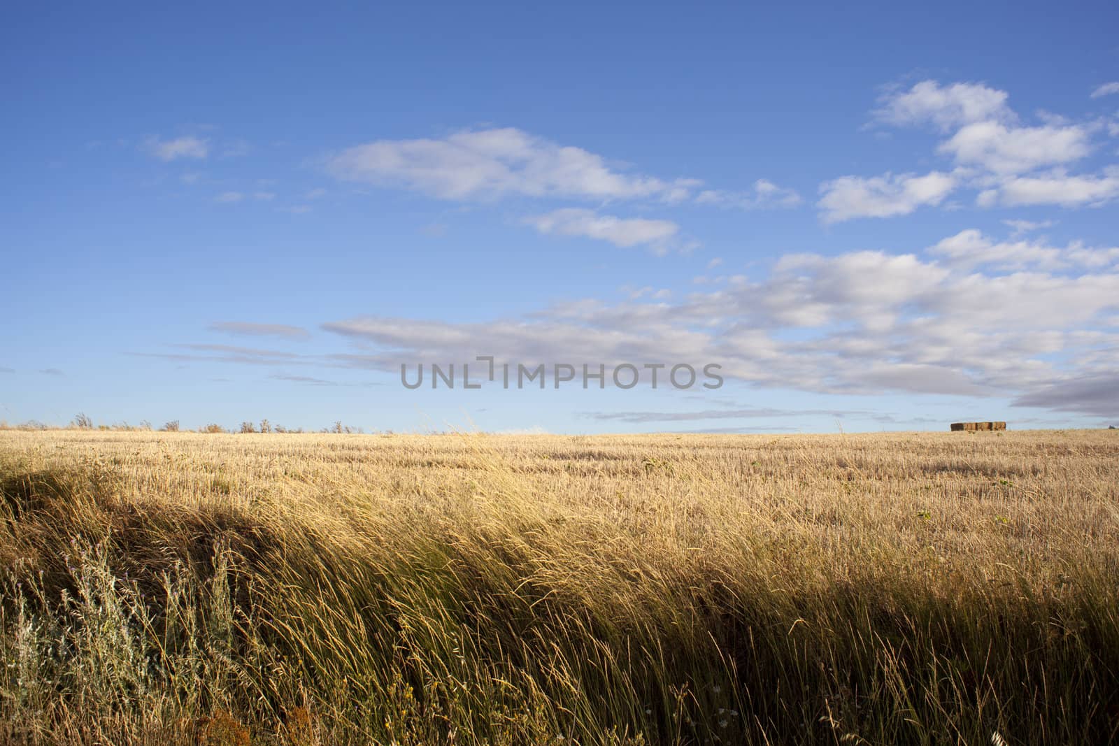 View of Spanish countryside in the summer