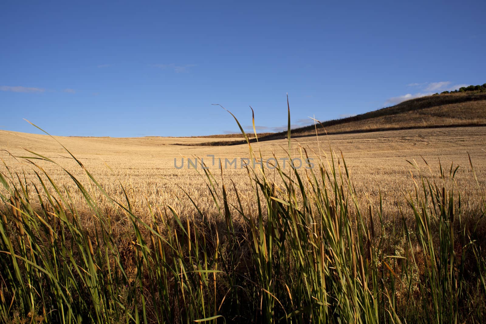 View of Spanish countryside in the summer