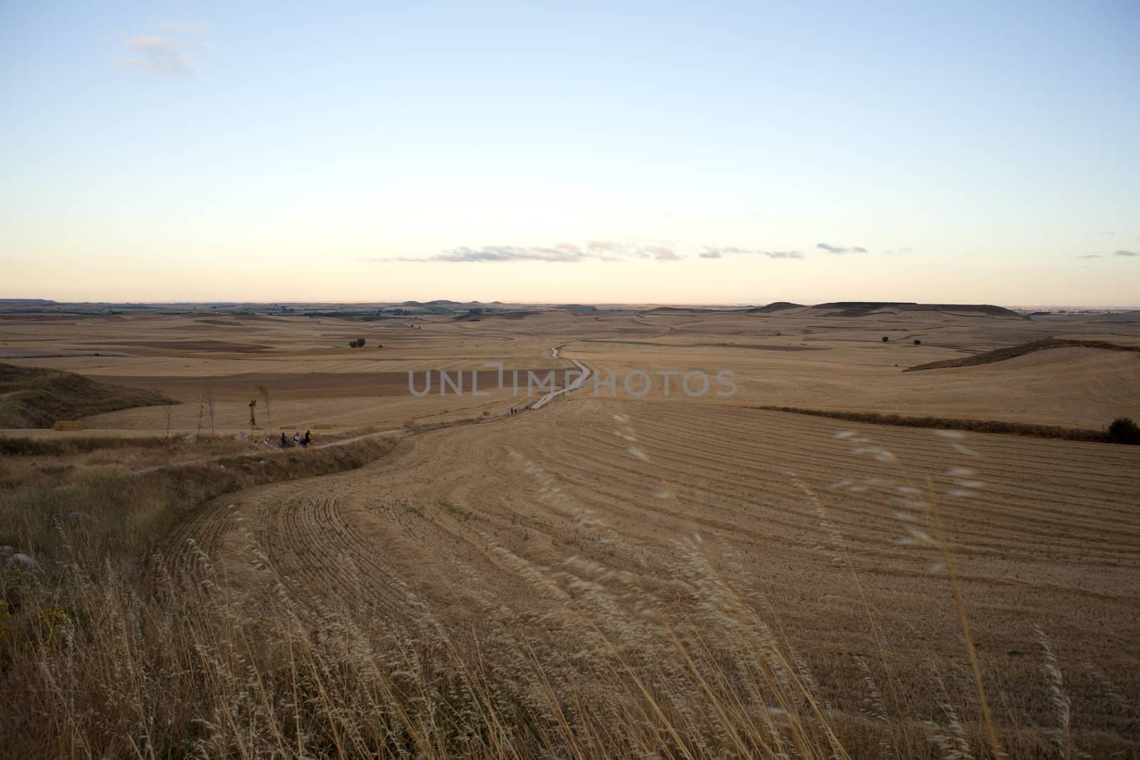 View of Spanish countryside in the summer