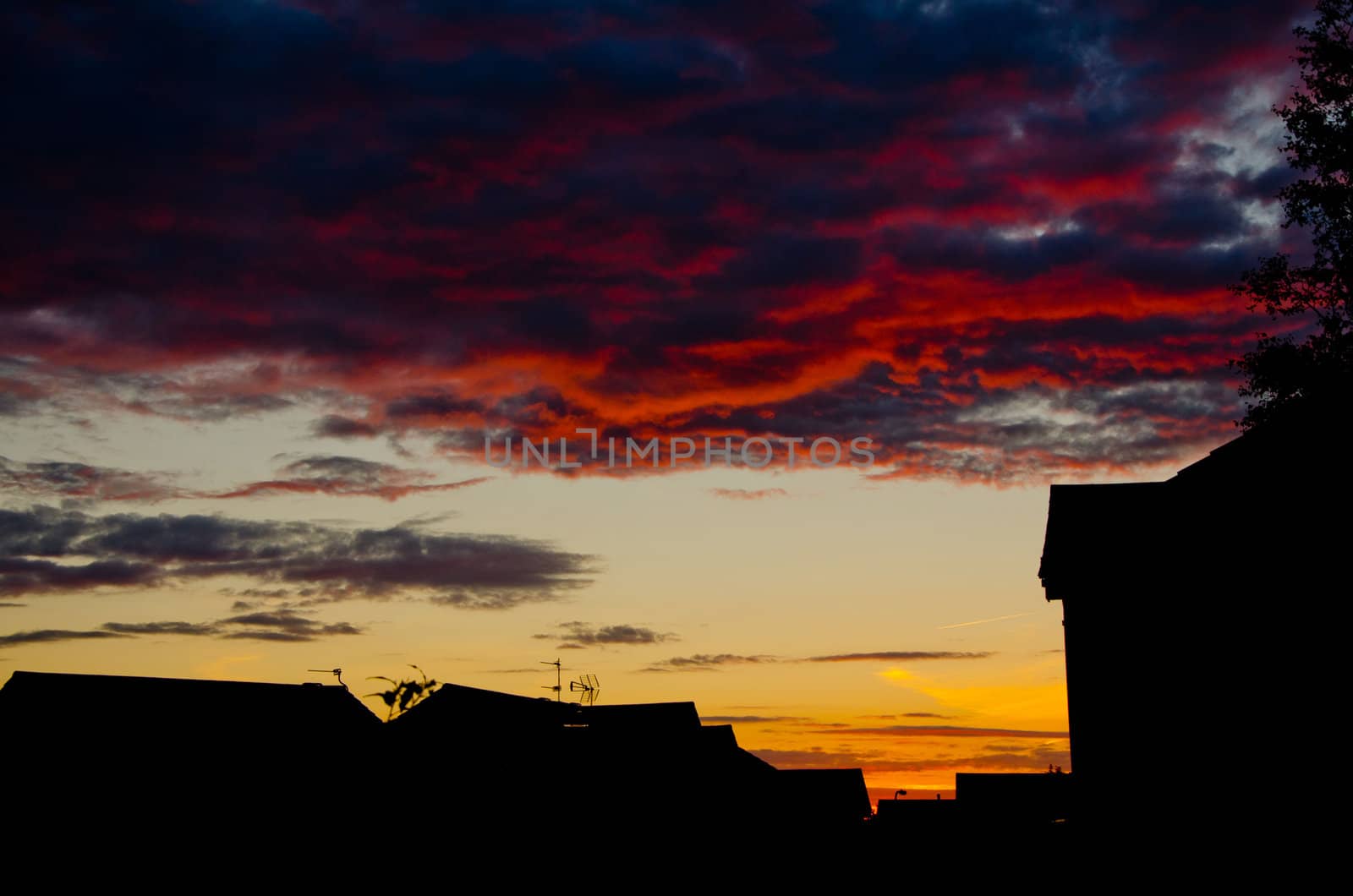 Picture of a sunset across rooftops