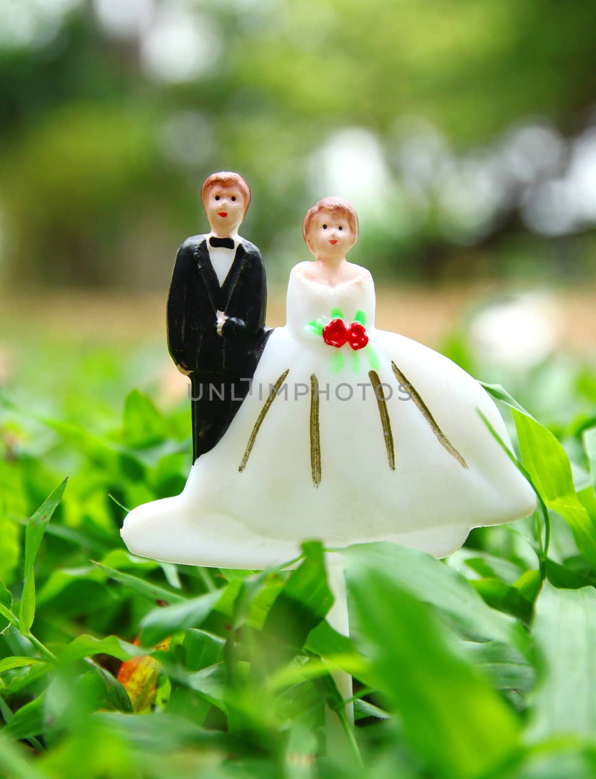 wedding couple doll on grass ground field