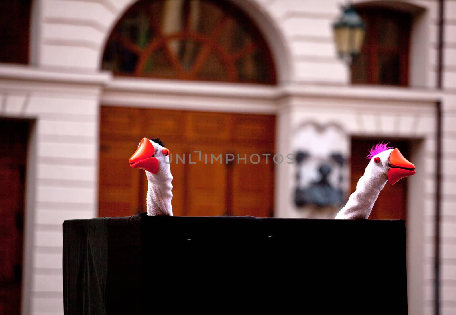 Photo of a Show with the geese puppets