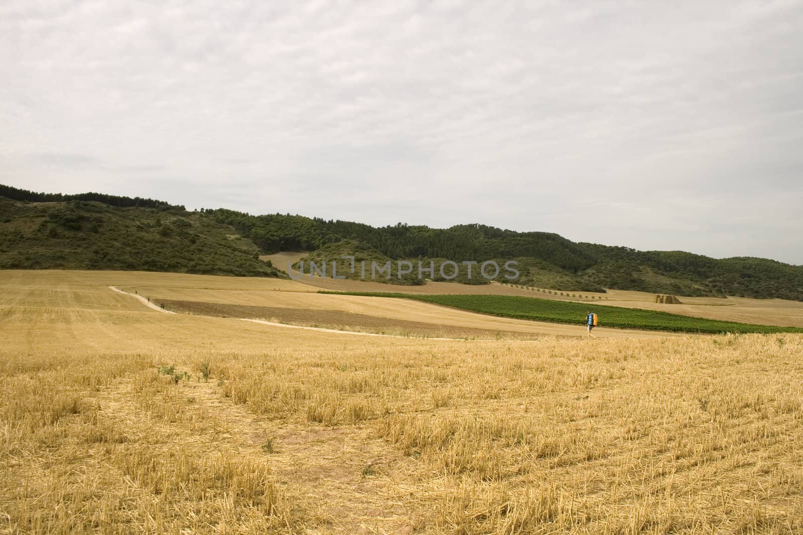 Pilgrims; Way of St. James in the summer