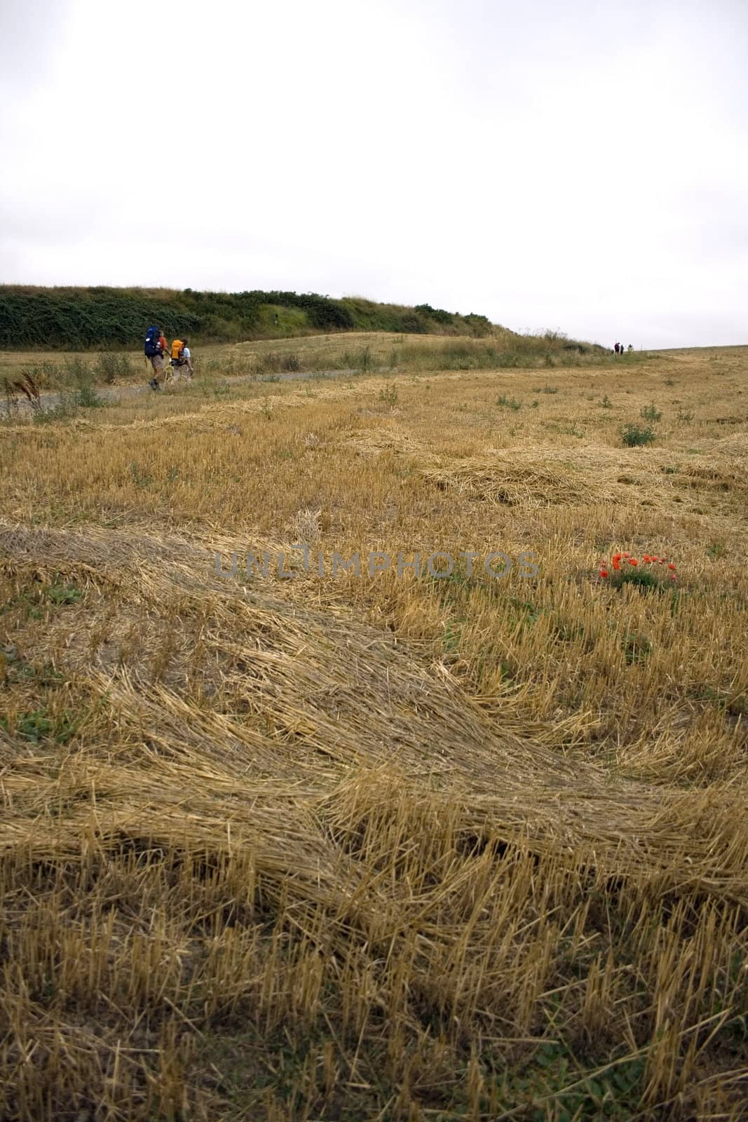 Pilgrims; Way of St. James in the summer