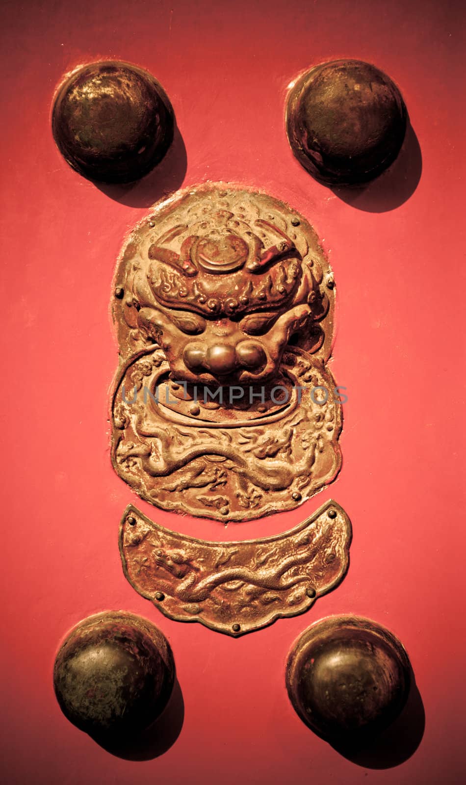 Lion door handle and door knocker on a wooden red gate.