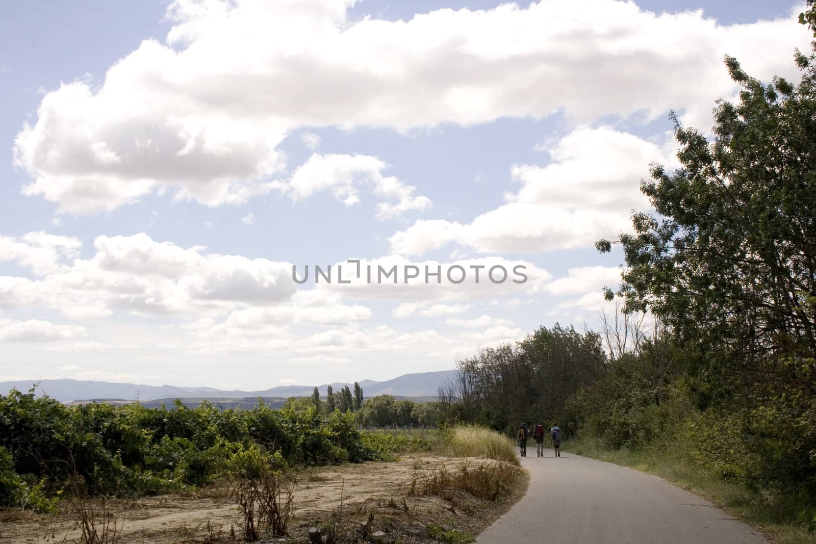 Pilgrims; Way of St. James in the summer