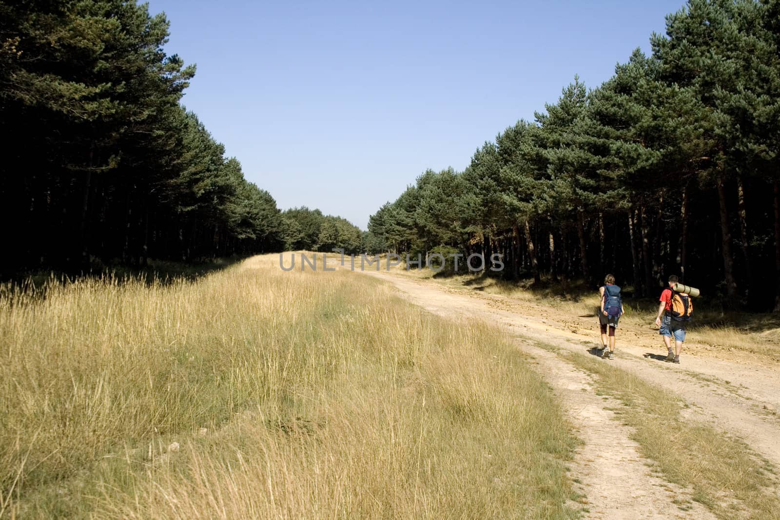 Pilgrims; Way of St. James in the summer