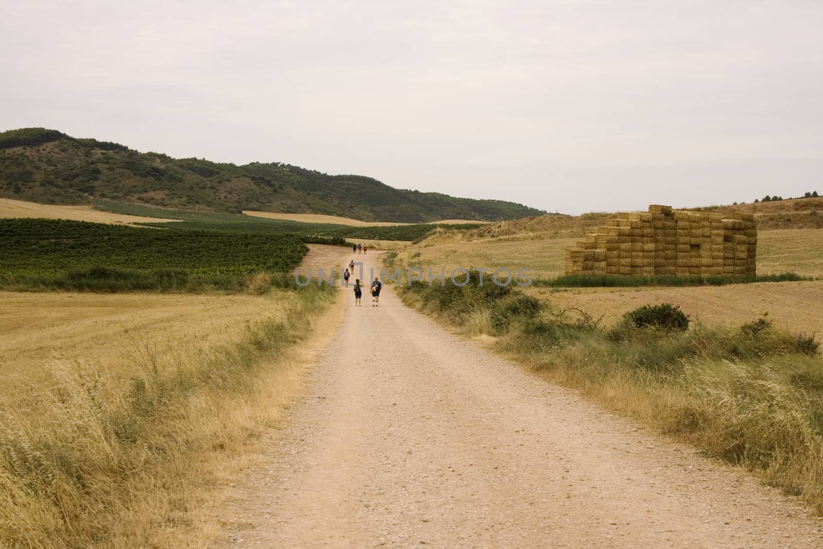 Pilgrims; Way of St. James in the summer