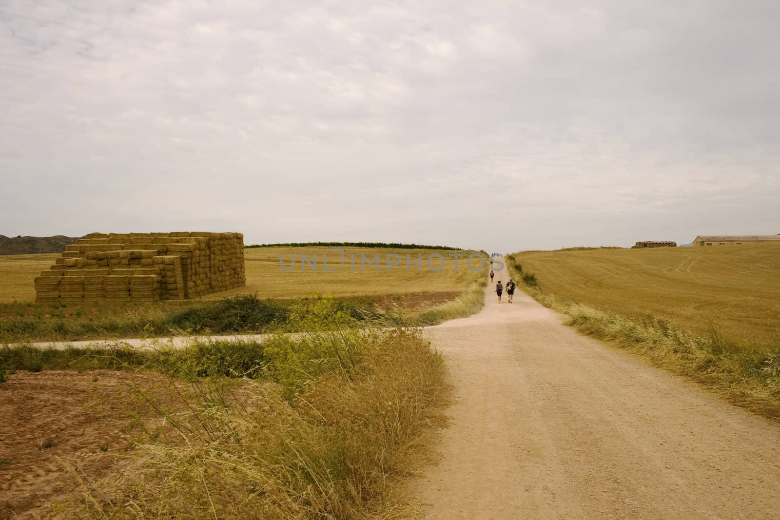 Pilgrims; Way of St. James in the summer